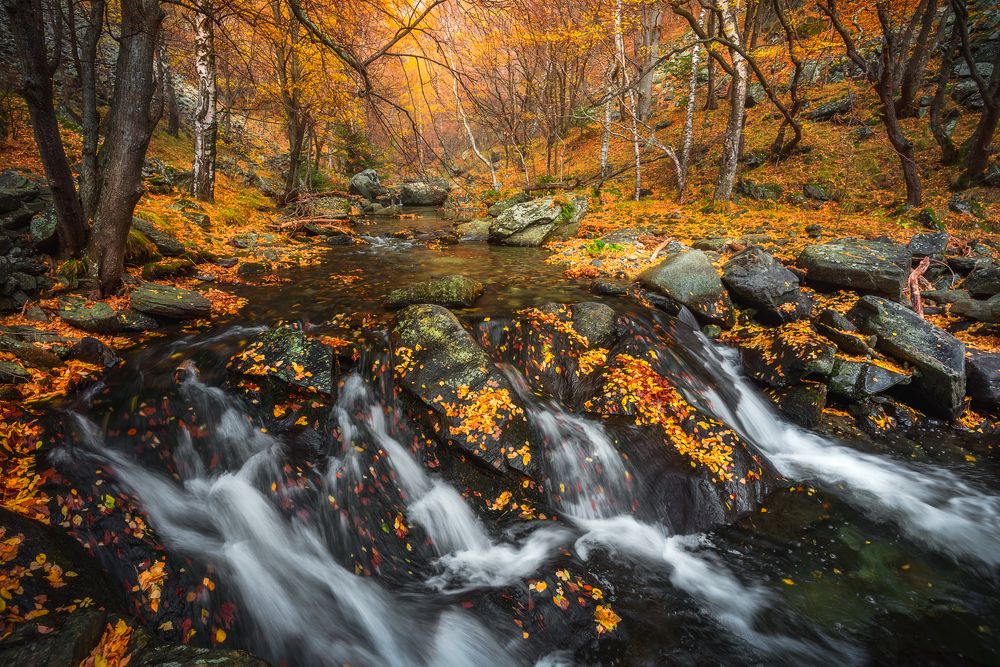 Photograph by Mariyana Atanasova - Lucero