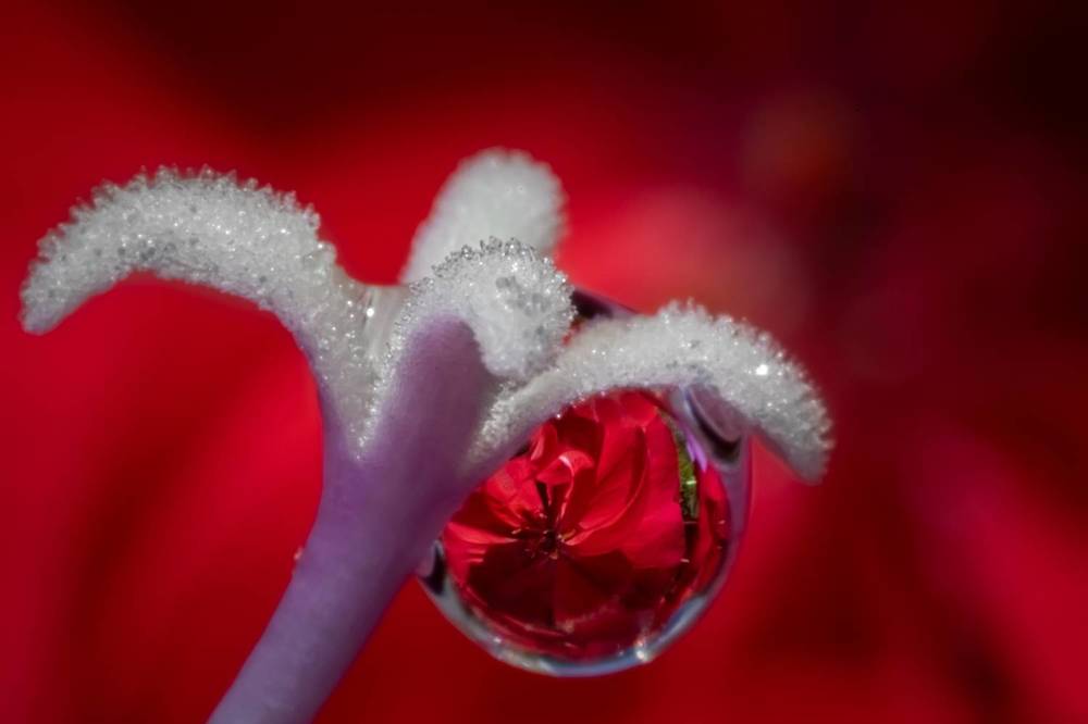 Photograph by Николай Фонарёв