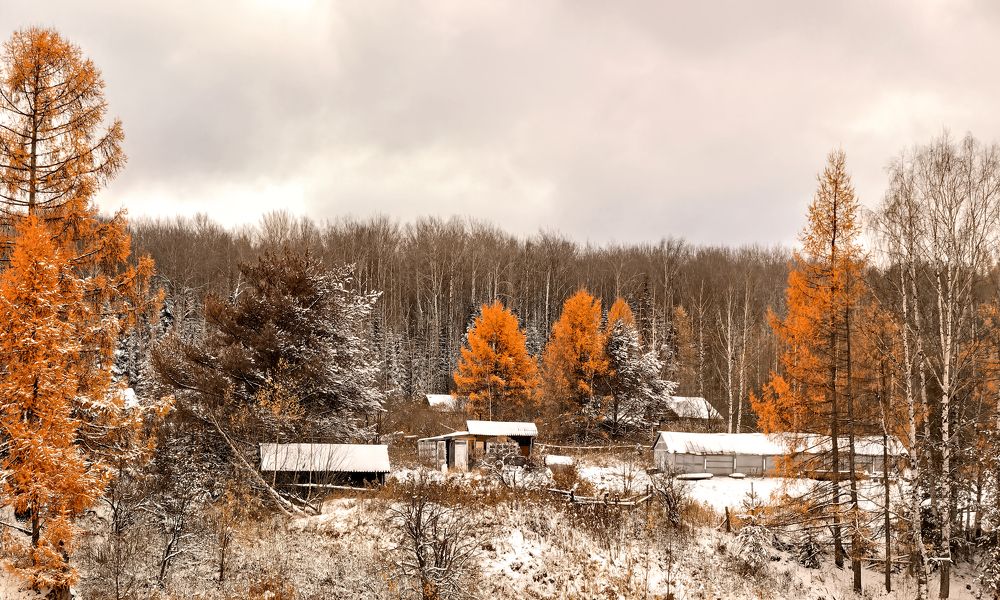 Photograph by Владимир