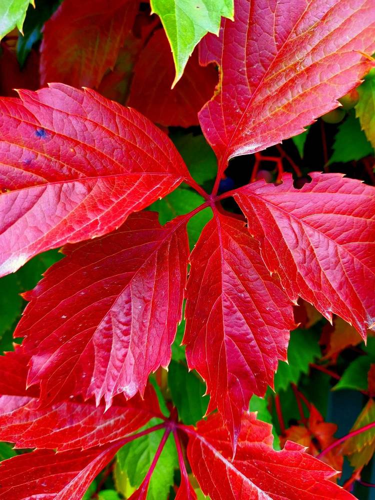 Photograph by Ольга Юрченко