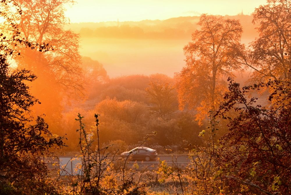 Photograph by Ирина Алексеева