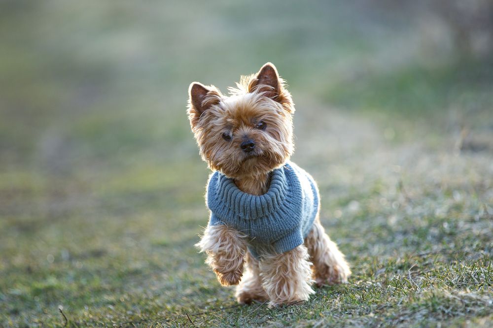 Photograph by Елена Ломова