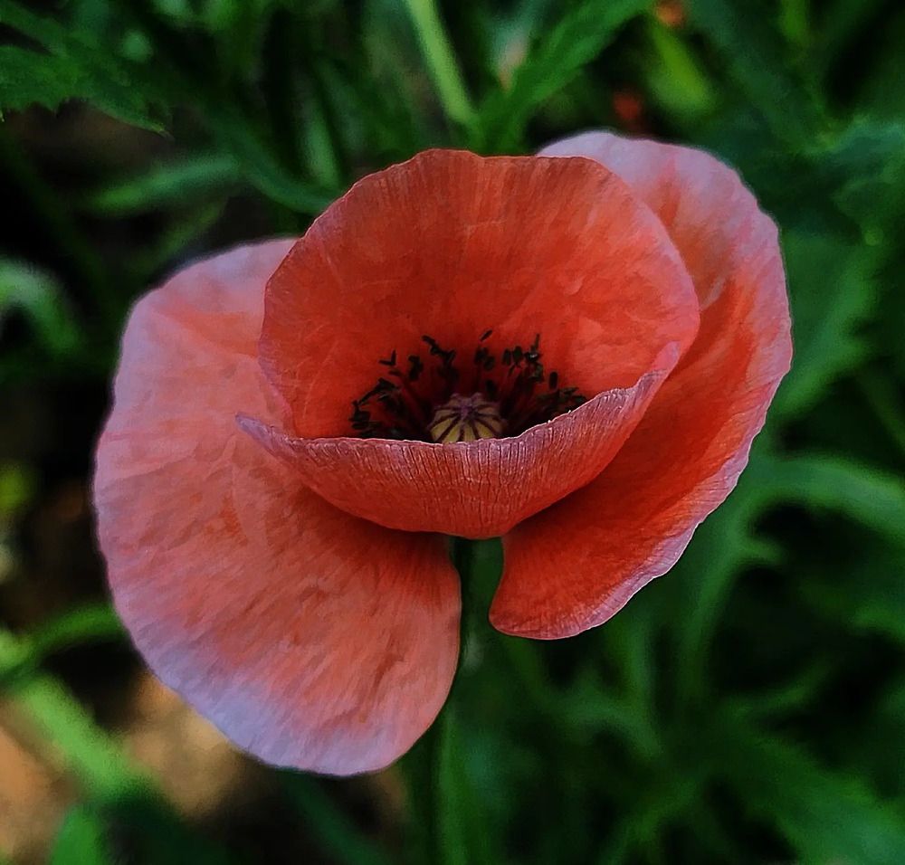 Фотография автора Татьяна Сякина