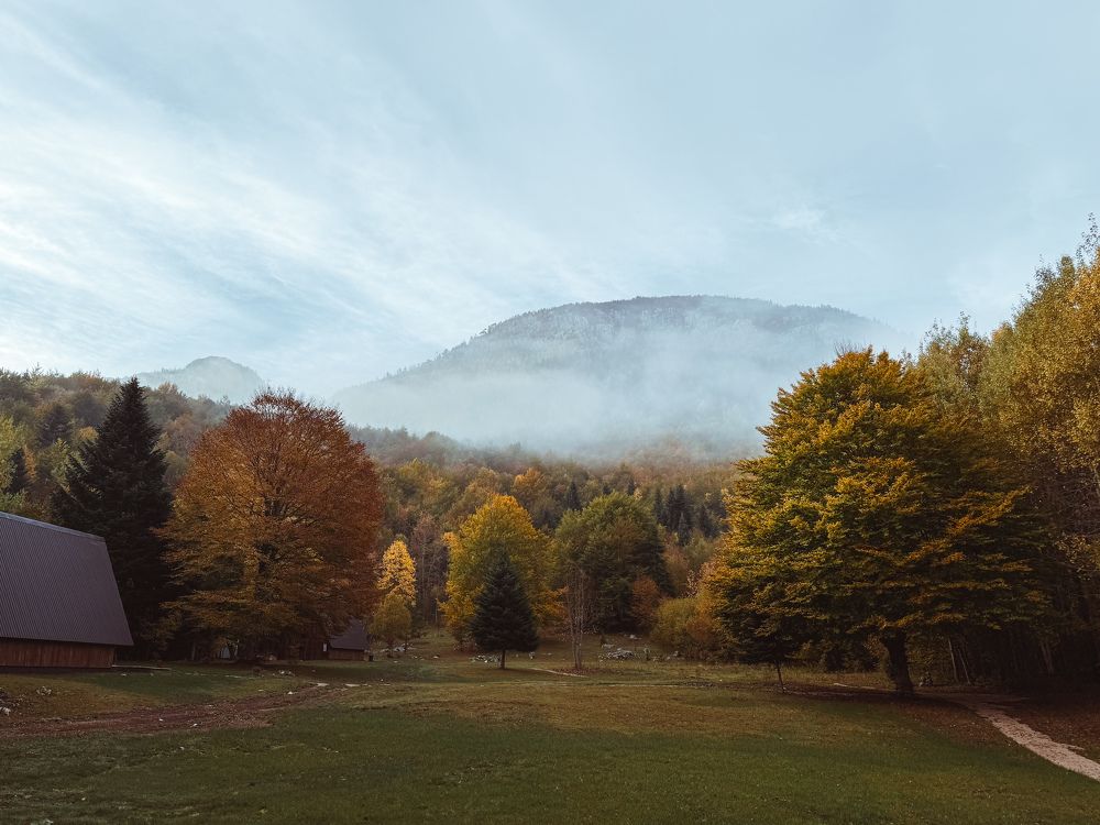 Photograph by Uliana Volegova