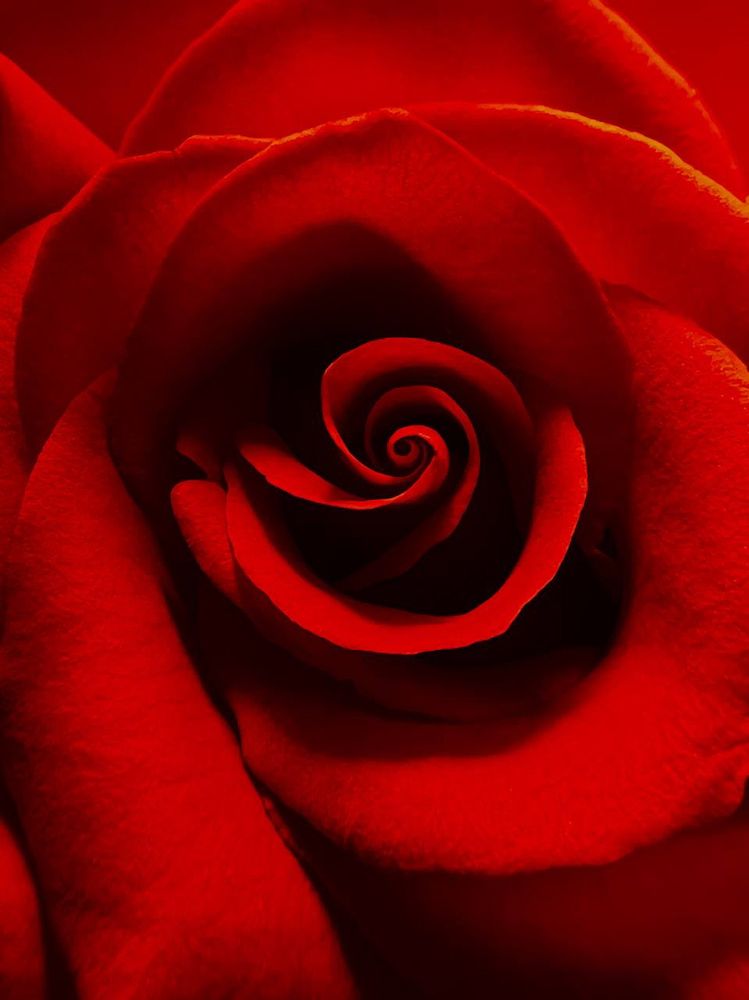 Photograph by Мария