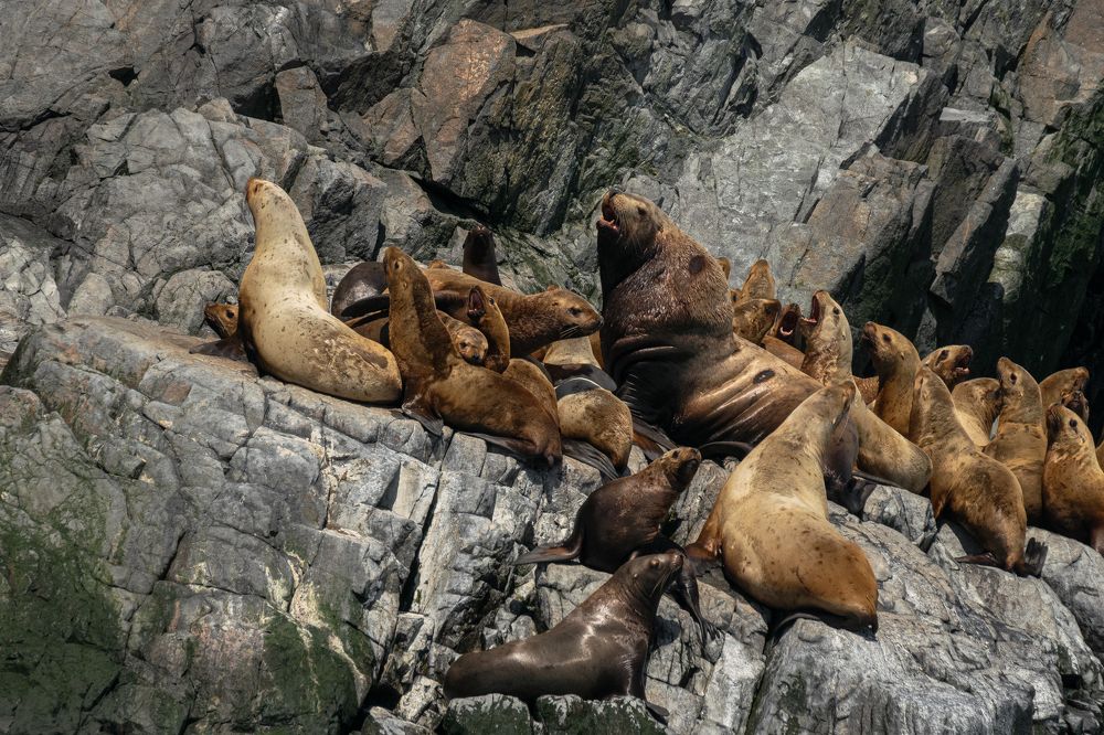 Photograph by Юлия Хобта