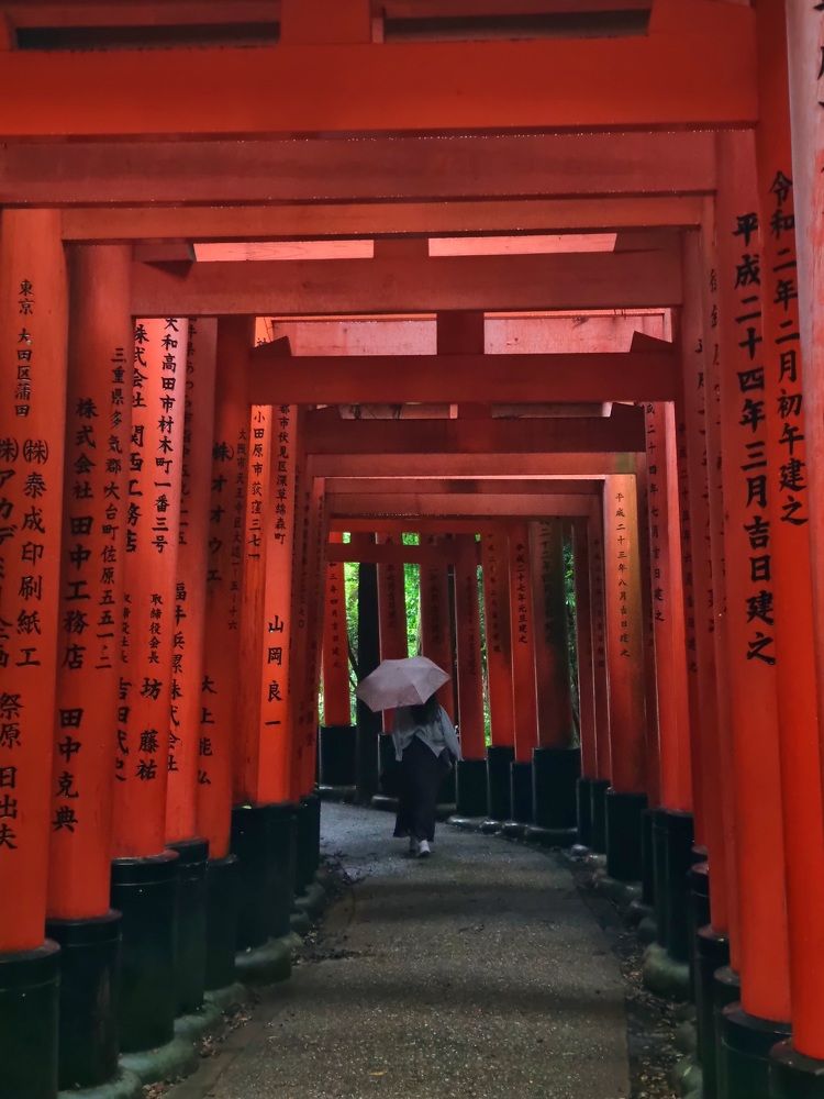 Фотография автора Елена Мурашова