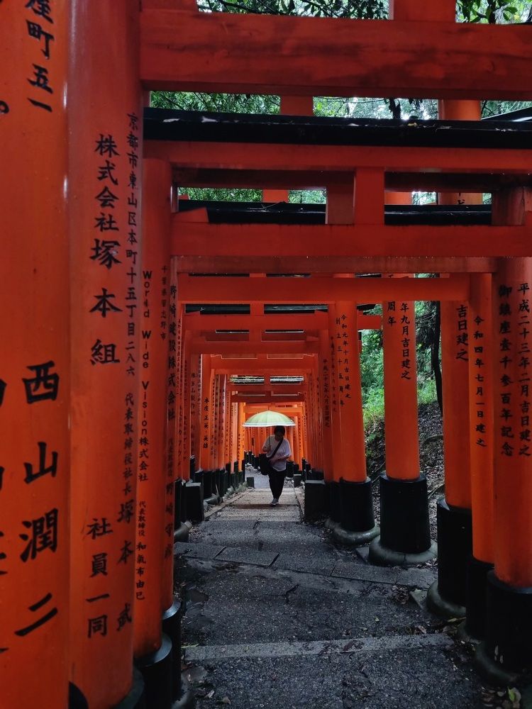 Фотография автора Елена Мурашова