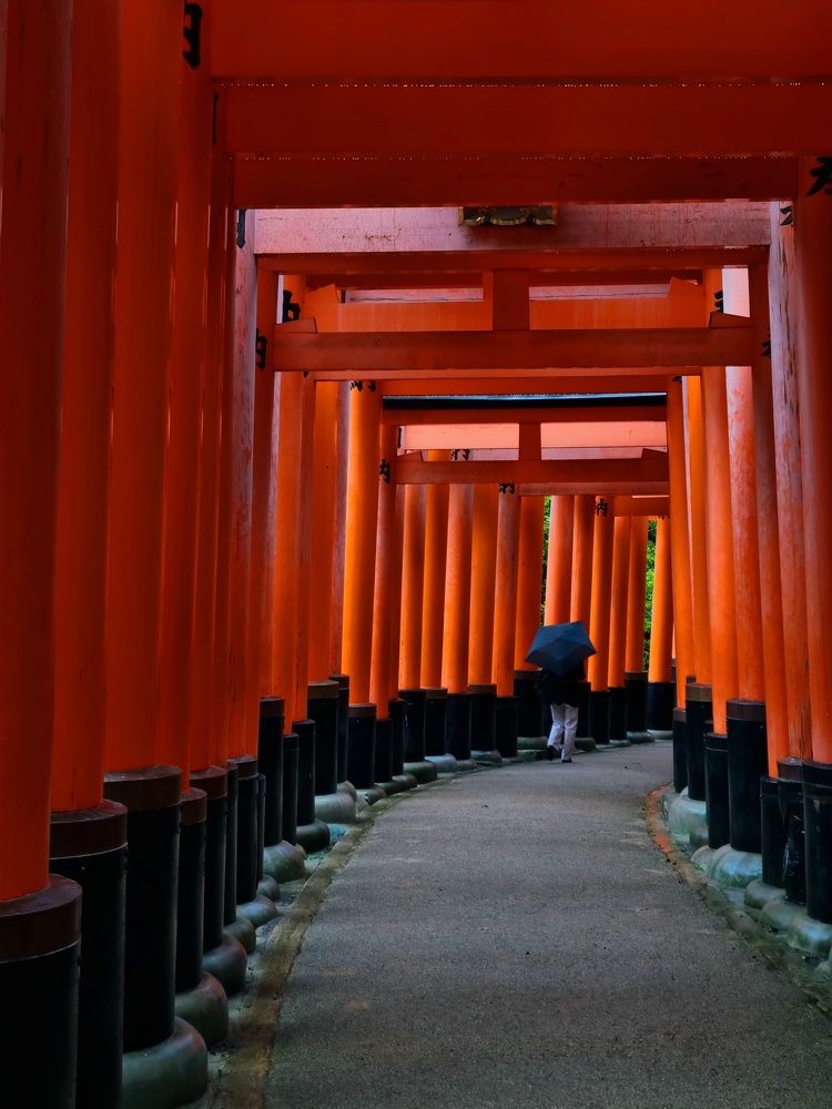 Путь самурая