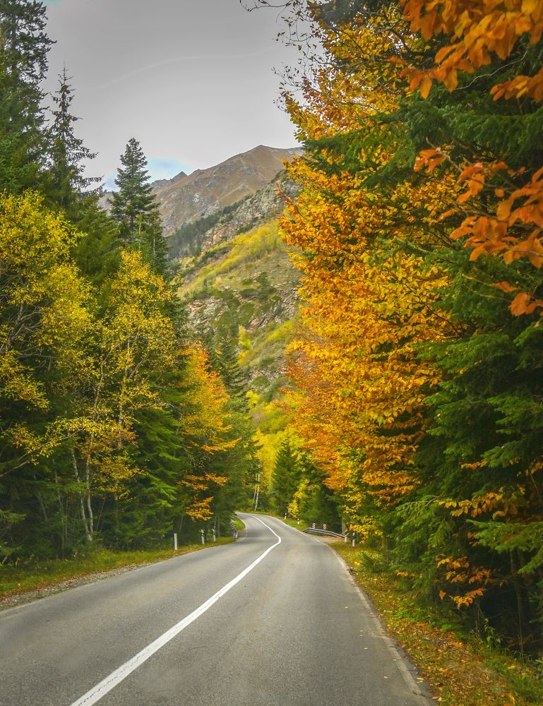 Photograph by Александр Сыроватка