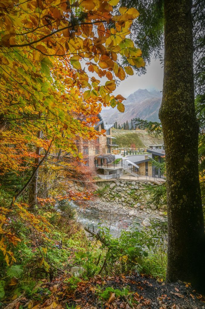 Photograph by Александр Сыроватка