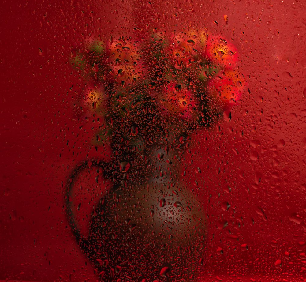 Photograph by Елена Куртеева