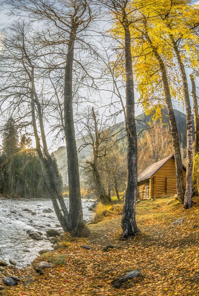 Photograph by Александр Сыроватка