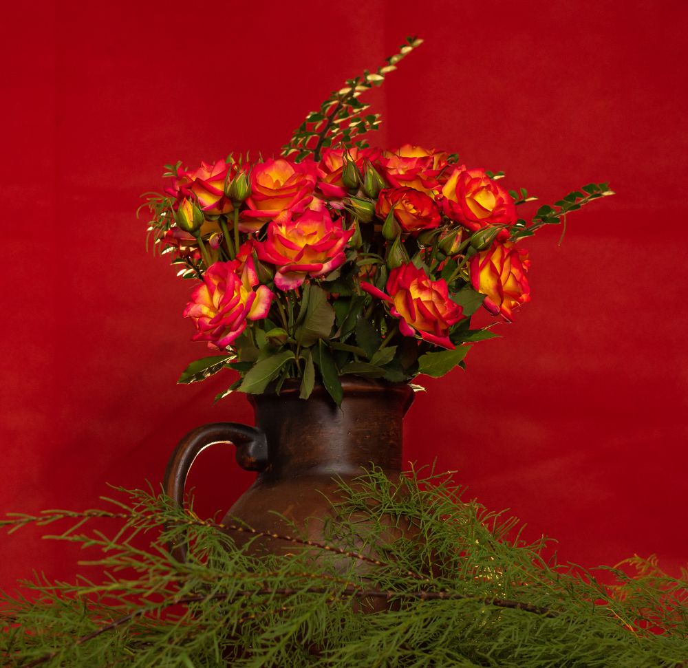 Photograph by Елена Куртеева