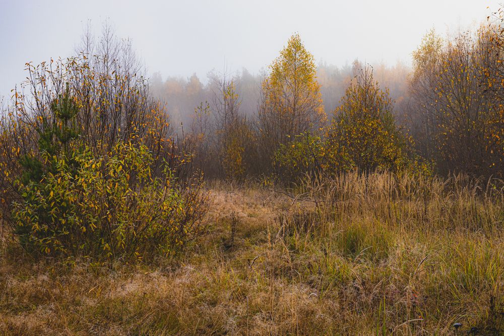 Фотография автора Ирина Гриценко