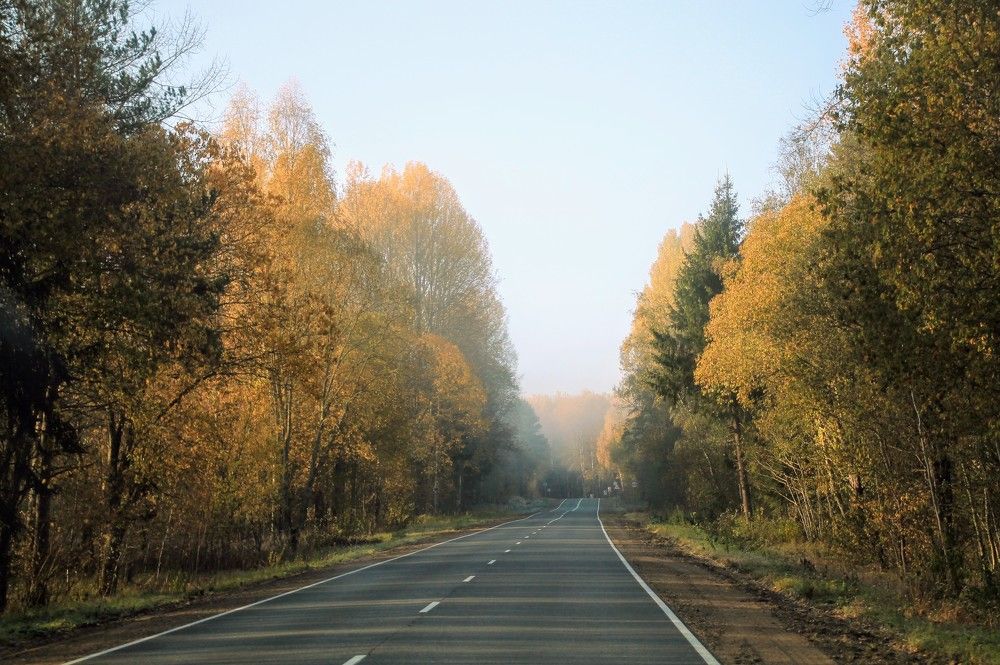 Photograph by Anna Orlova