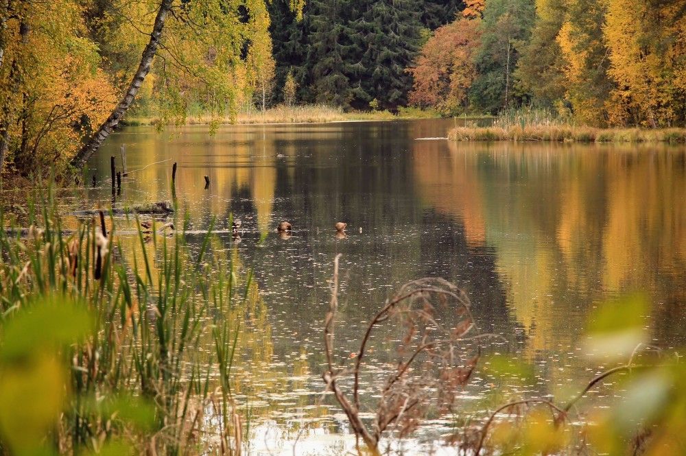 Photograph by Anna Orlova