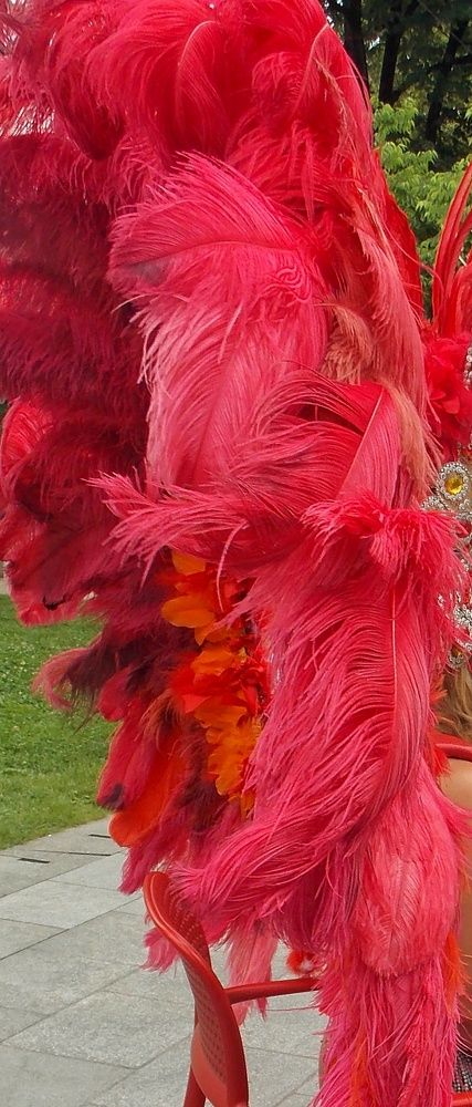 Photograph by Dragoslav Macanović