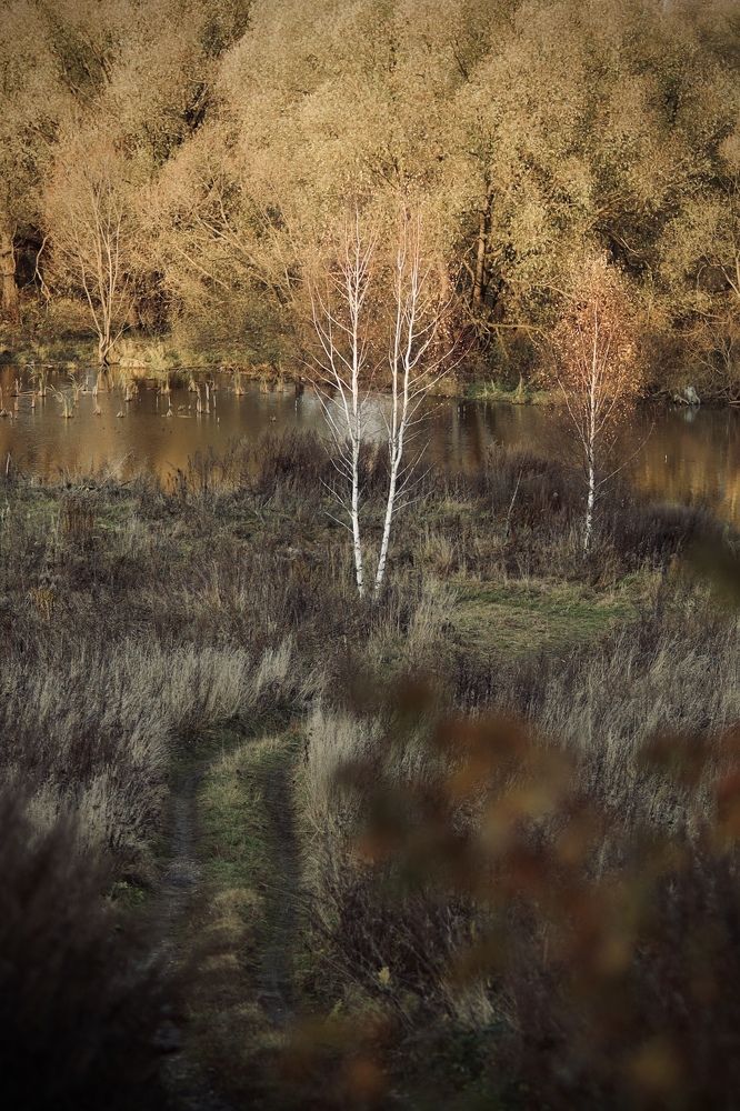 Осень в Подмосковье
