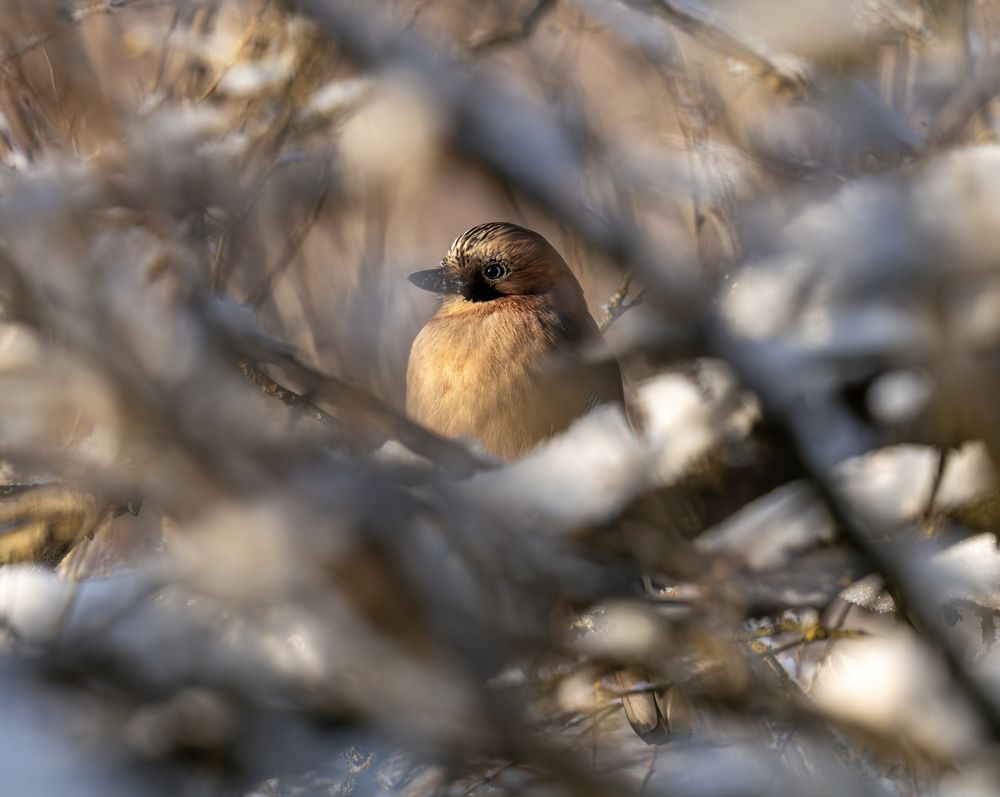 Photograph by  Дмитрий Михайлович