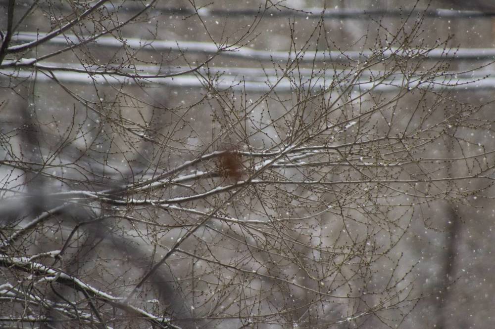 Photograph by Ирина Шибитова