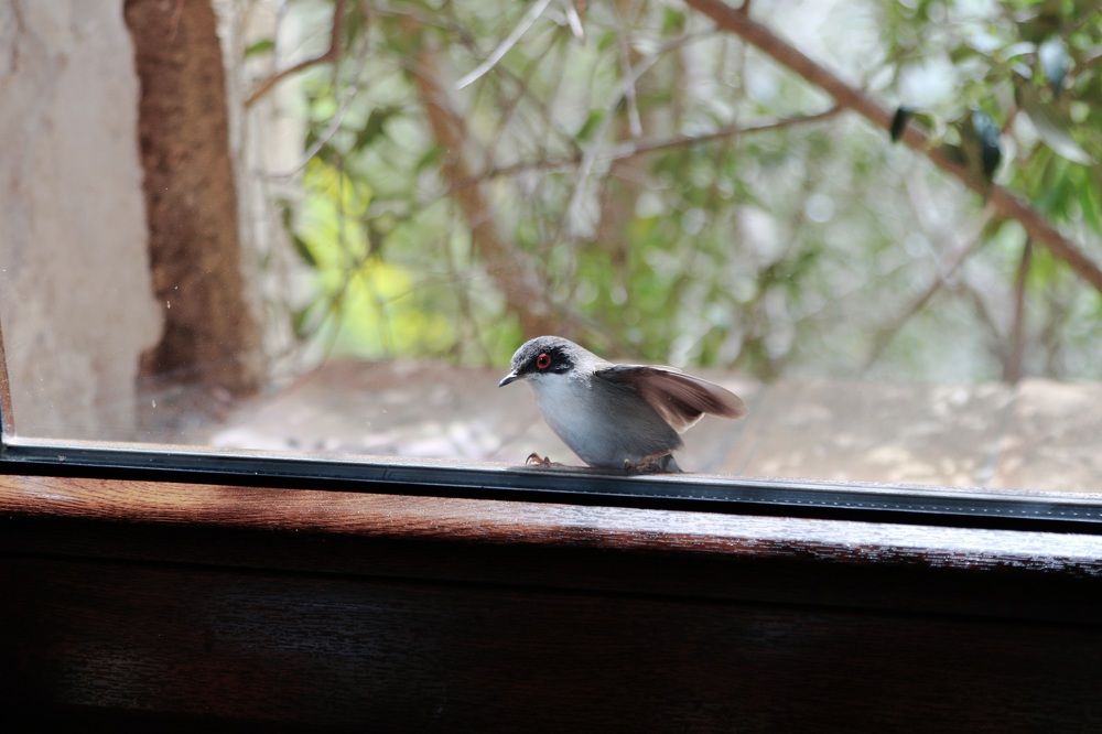 Photograph by Nadzeya