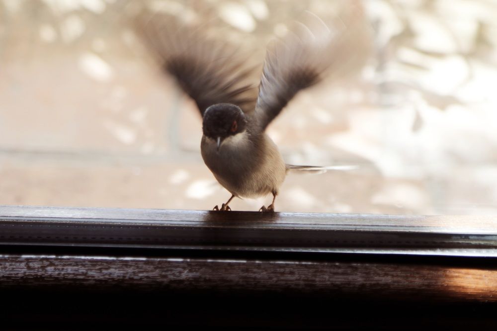 Photograph by Nadzeya