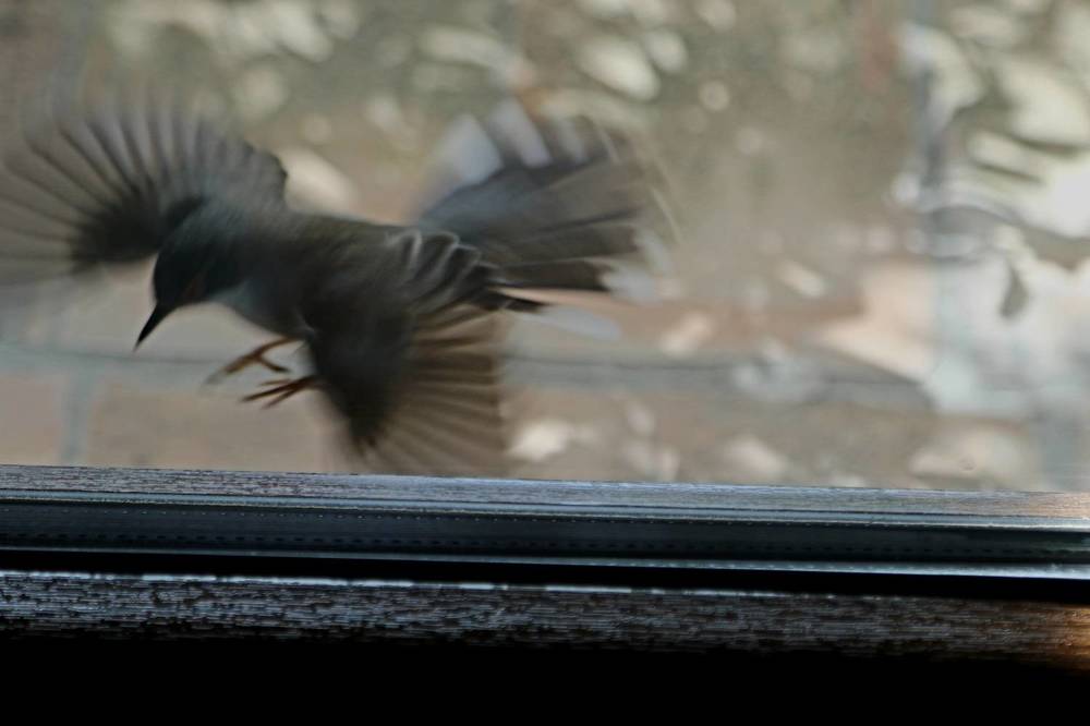 Photograph by Nadzeya