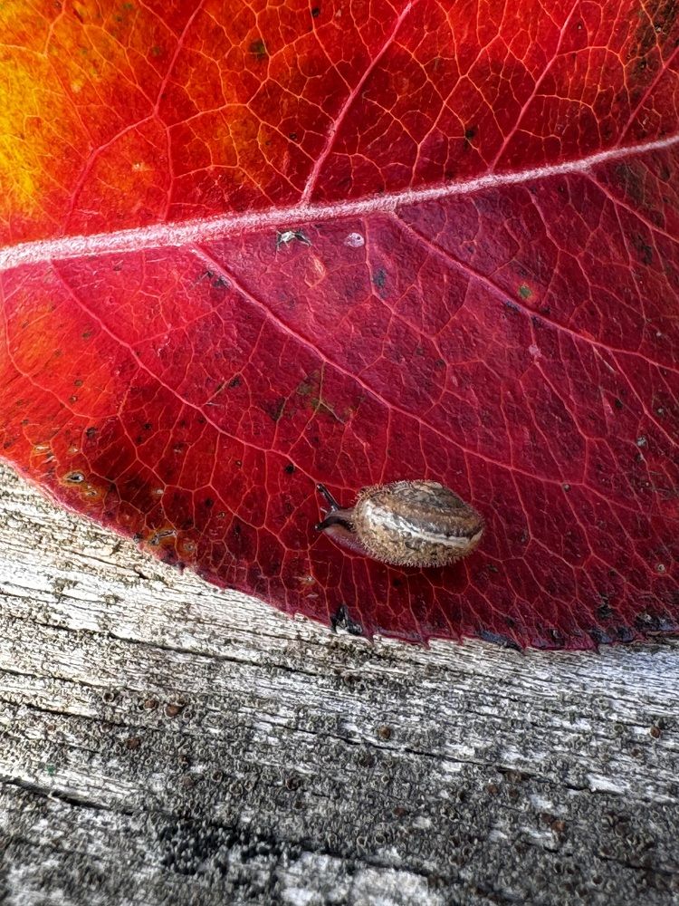 Photograph by Аверьянова Наталья