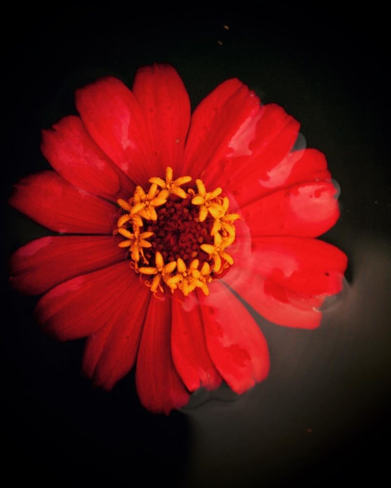 Photograph by Deasy Junita Dhani Hidayana