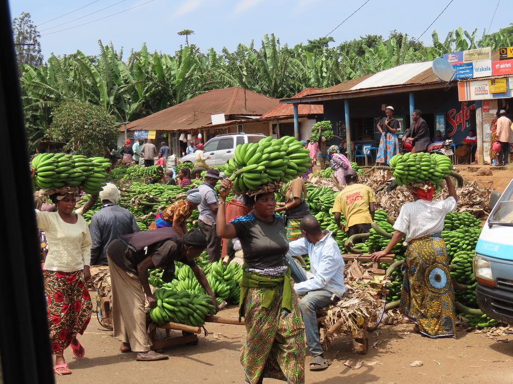 Photograph by mahboube moradalizade