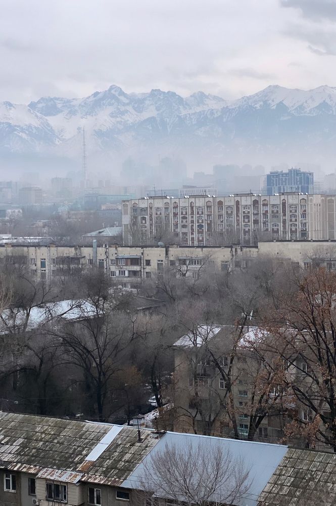 Photograph by Anna Fors