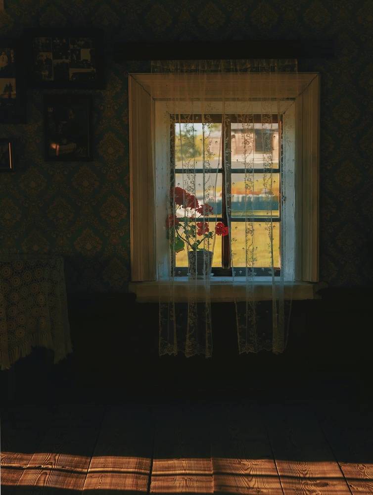 Photograph by Ольга Попова