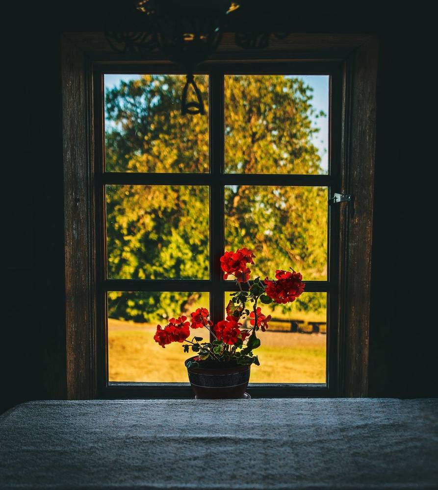 Photograph by Ольга Попова