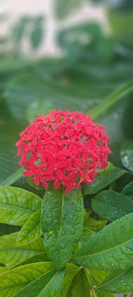 Photograph by mahboube moradalizade