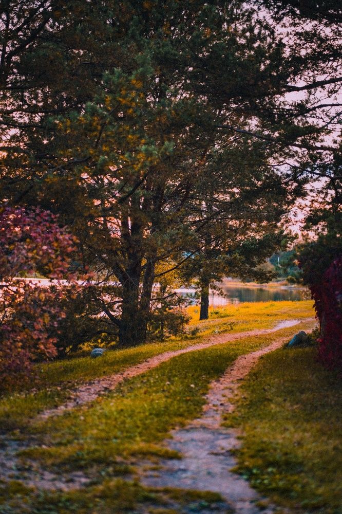 Photograph by Юлия Попова