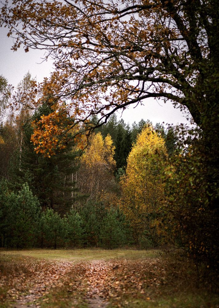 Photograph by Юлия Попова