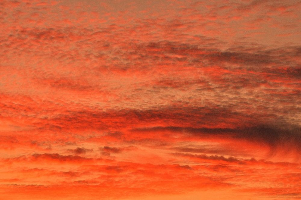 Photograph by Николай Леухин