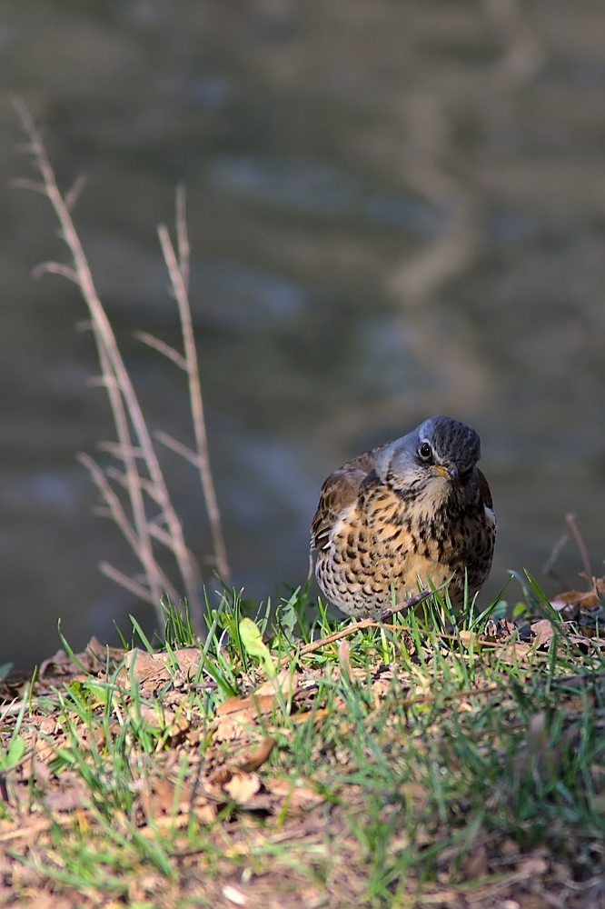 Photograph by Евгений Беленков