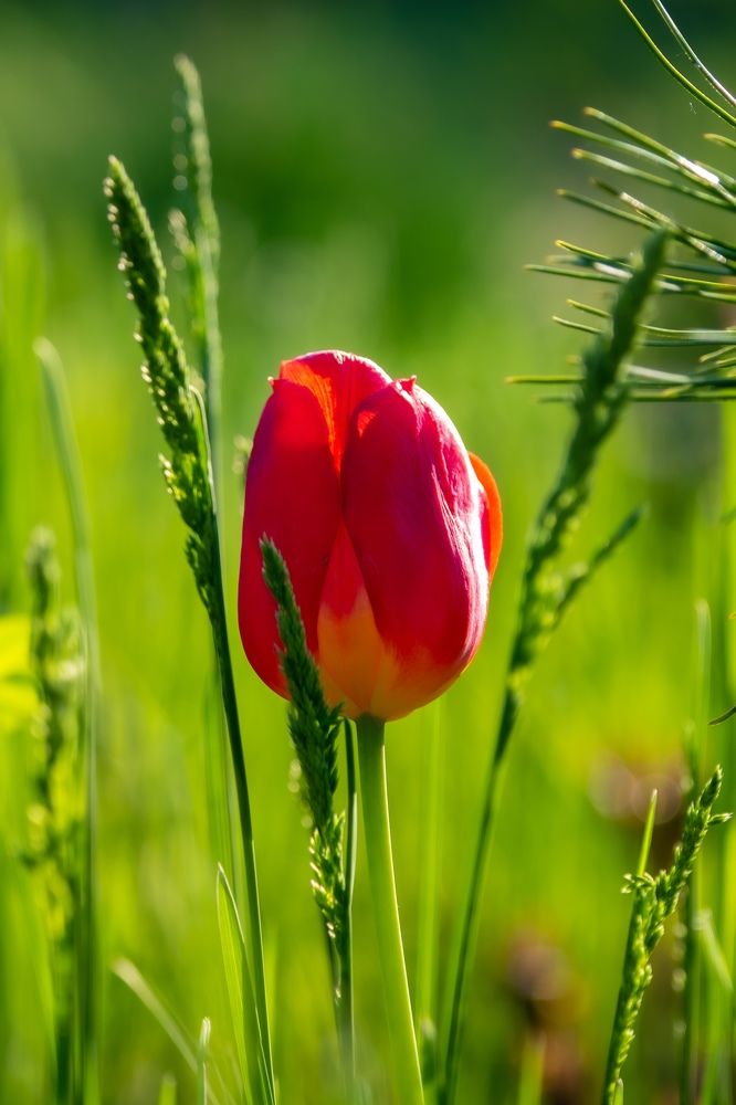 Photograph by Андрей Давыдов