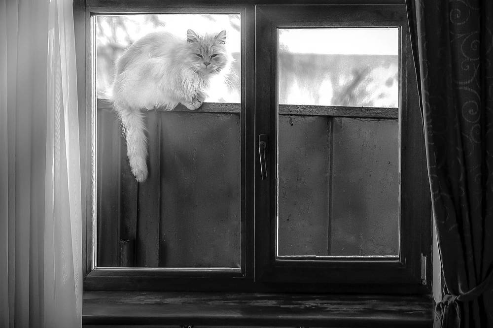 Photograph by Александр Сыроватка