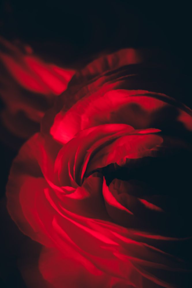 Photograph by Христина Сергейчик