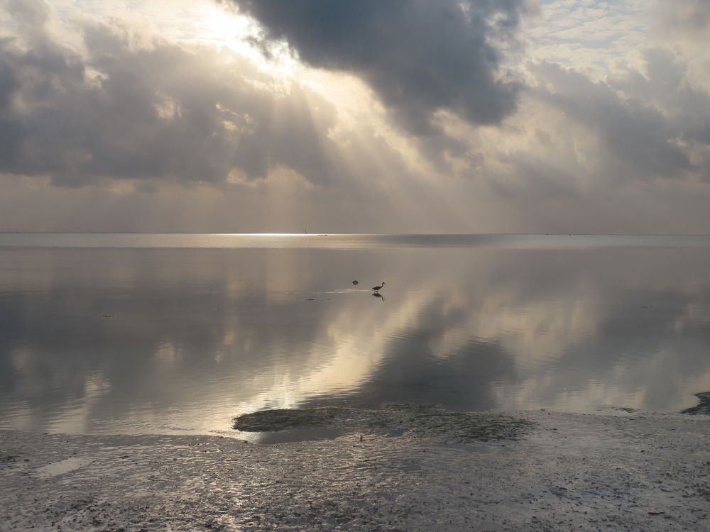 Photograph by mahboube moradalizade