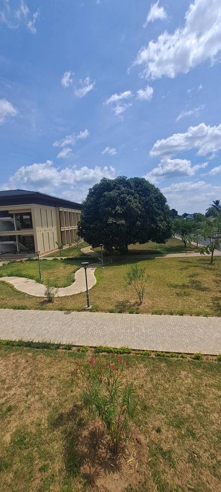 Photograph by mahboube moradalizade