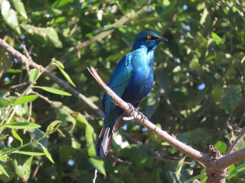 Photograph by mahboube moradalizade