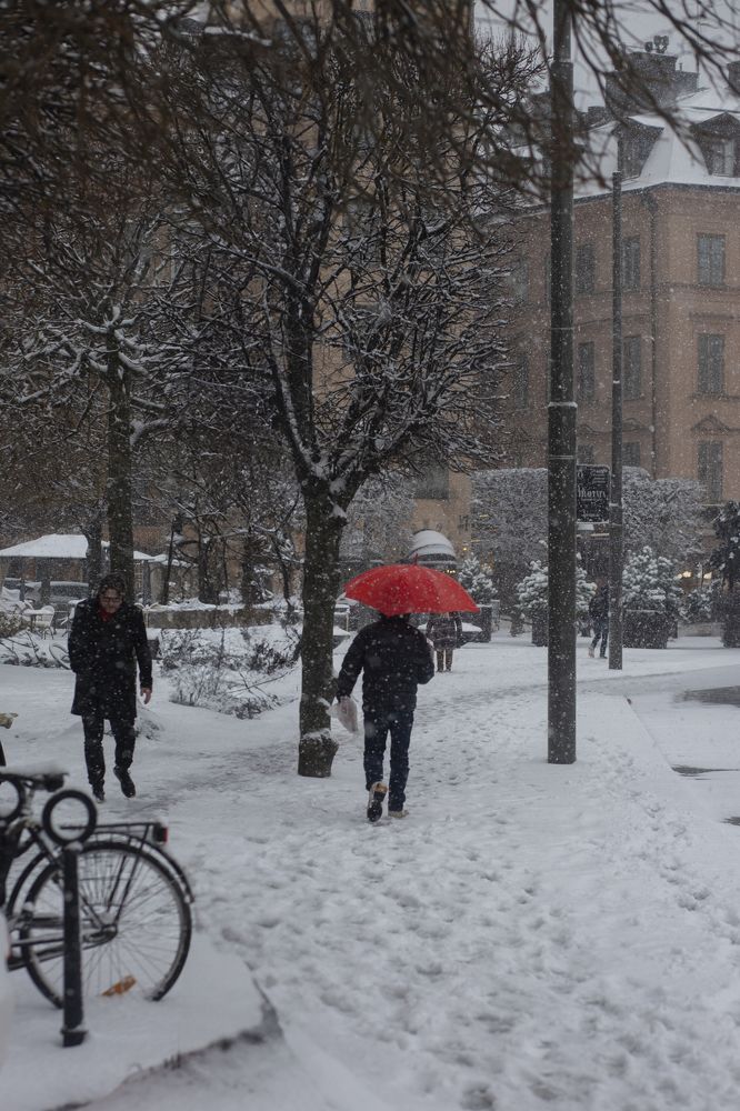 Photograph by LIUDMILA BABROUSKAYA