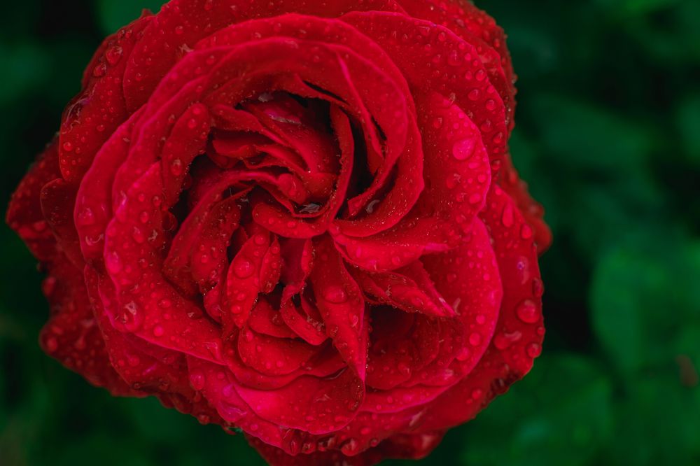 Photograph by Екатерина Абатурова