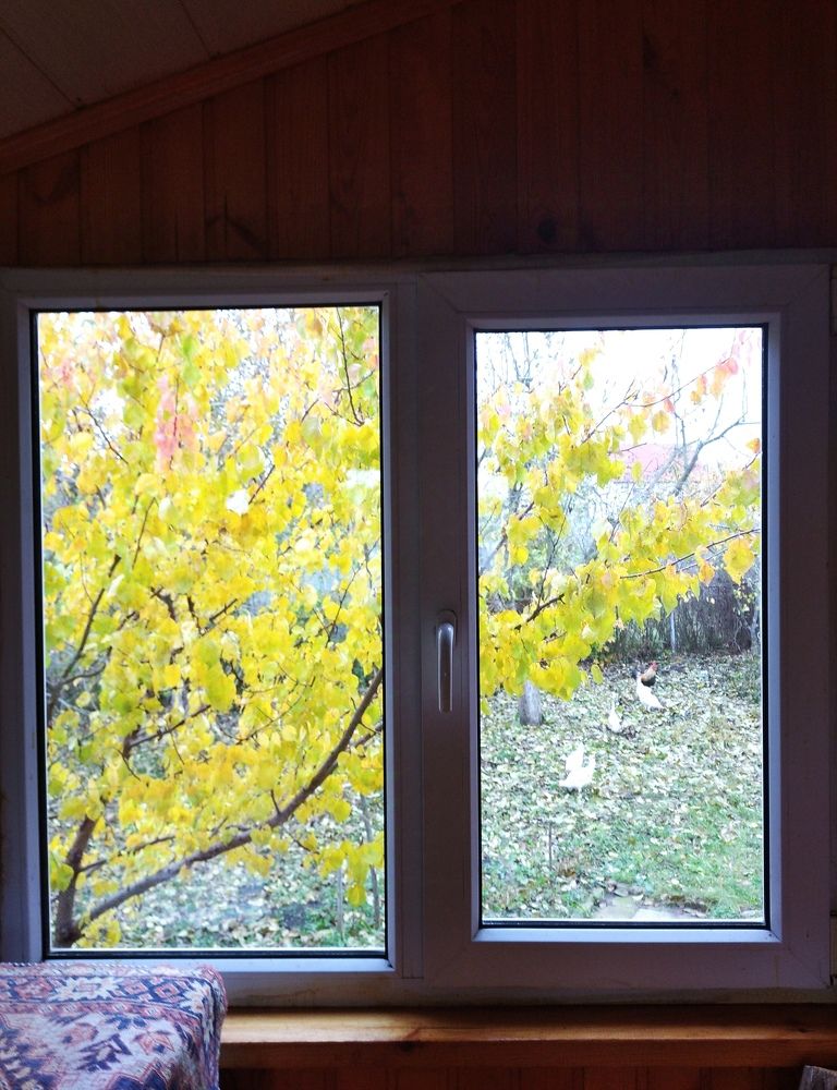 Photograph by Елена Коробченко