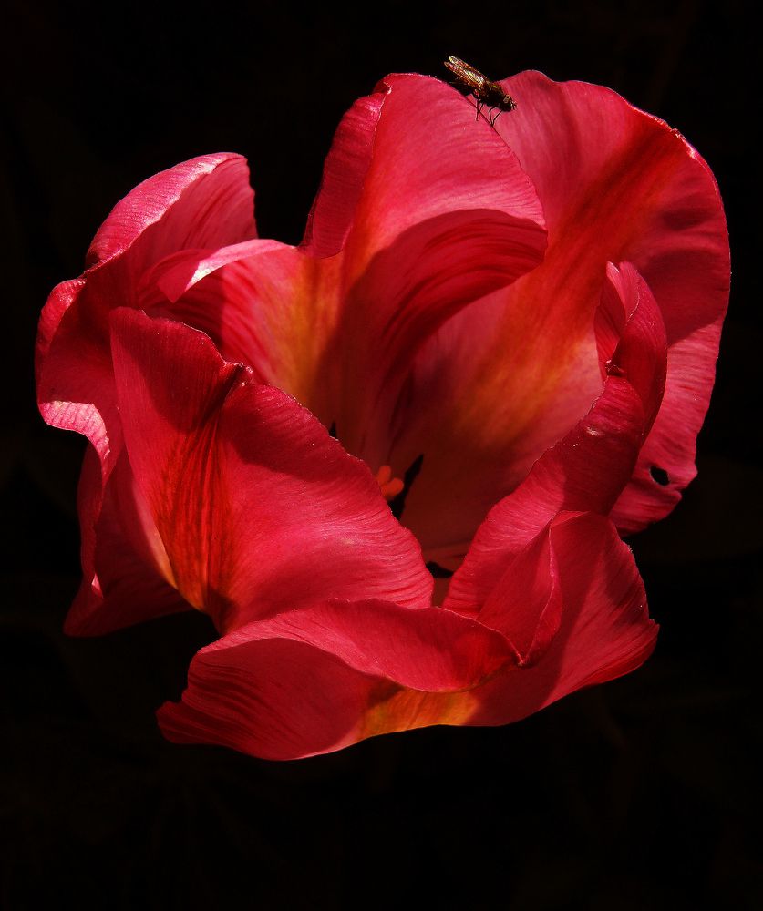 Фотография автора Сергей Гречихин