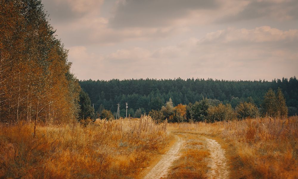 Photograph by Ольга Глущенко